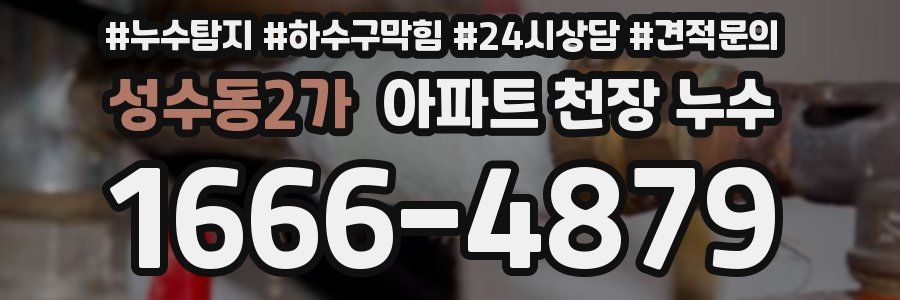 성수동2가 아파트 천장 누수