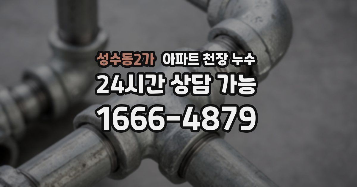 성수동2가 아파트 천장 누수
