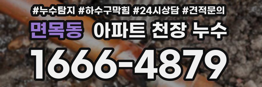 면목동 아파트 천장 누수