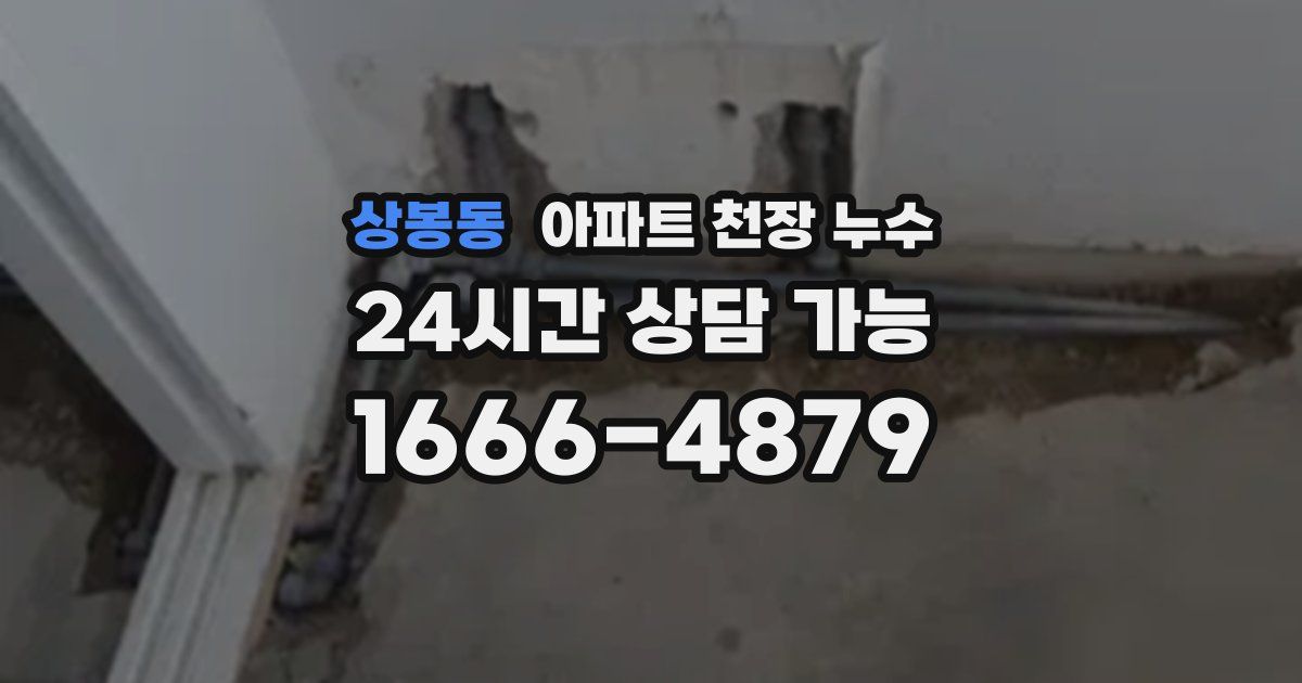 상봉동 아파트 천장 누수