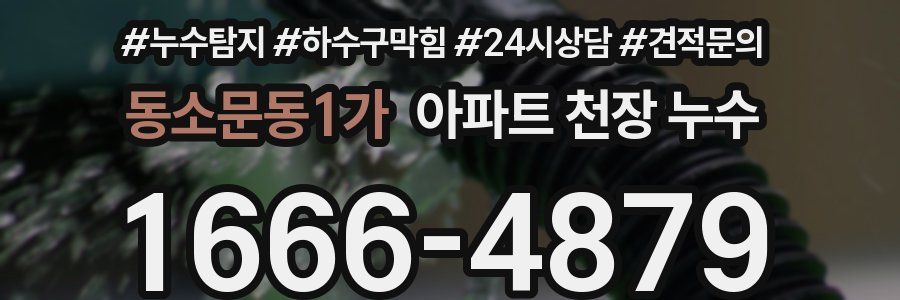 동소문동1가 아파트 천장 누수