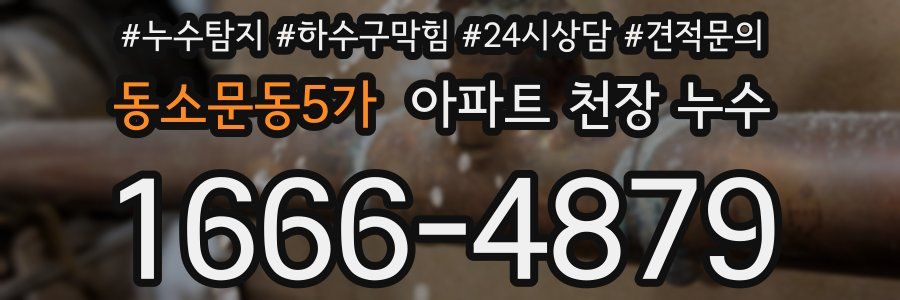 동소문동5가 아파트 천장 누수