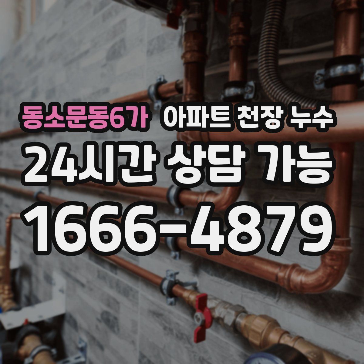 동소문동6가 아파트 천장 누수