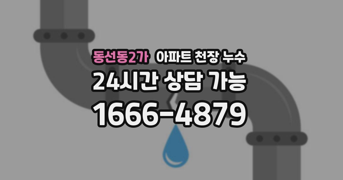 동선동2가 아파트 천장 누수
