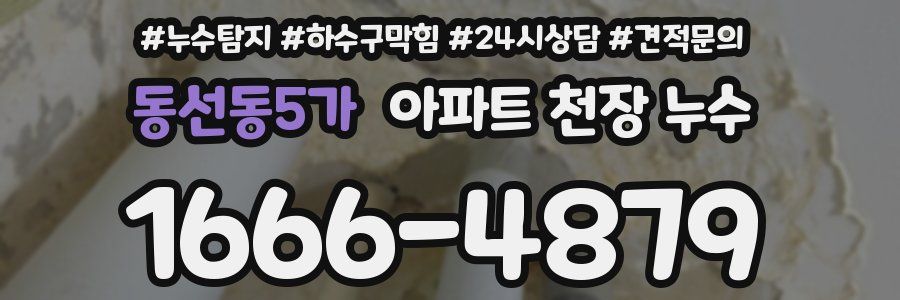 동선동5가 아파트 천장 누수