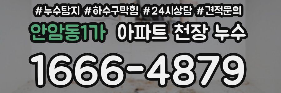 안암동1가 아파트 천장 누수