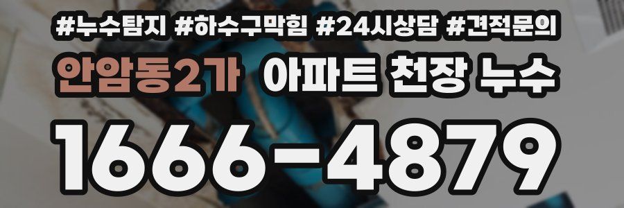 안암동2가 아파트 천장 누수