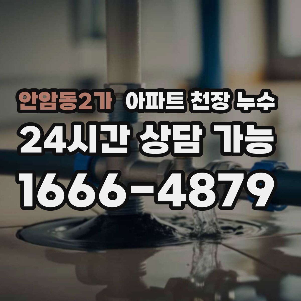 안암동2가 아파트 천장 누수