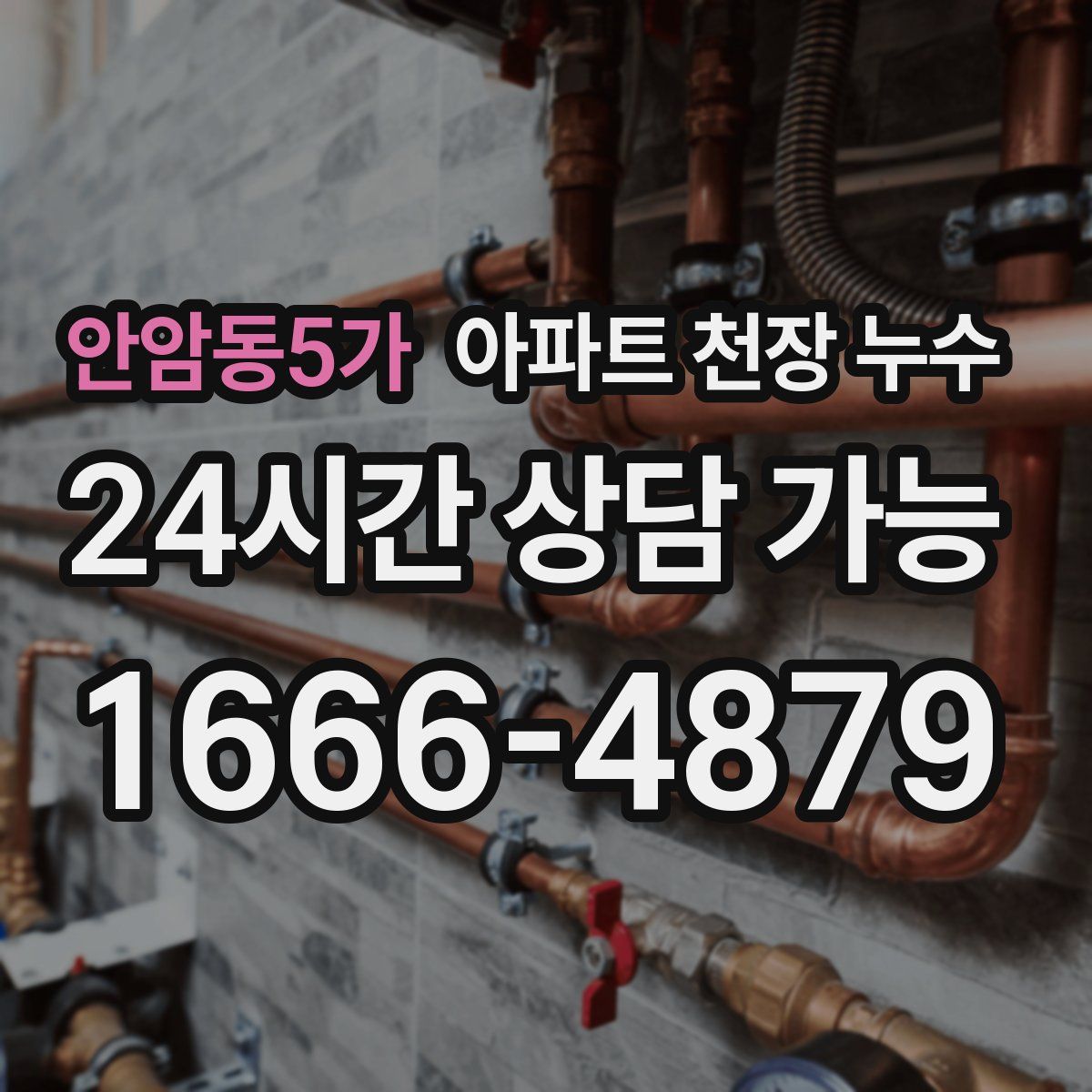 안암동5가 아파트 천장 누수