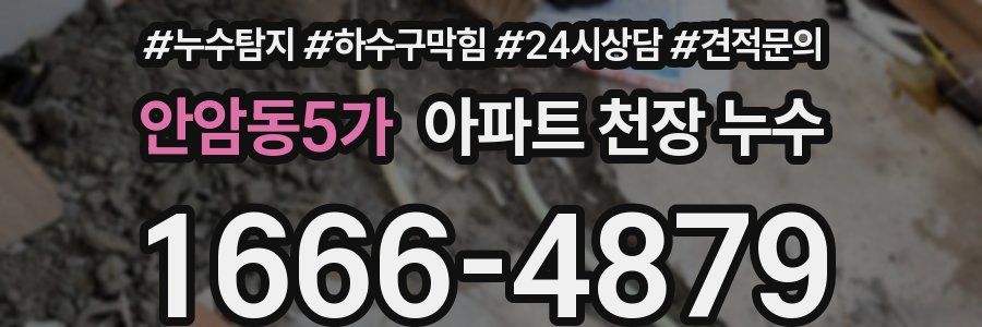 안암동5가 아파트 천장 누수