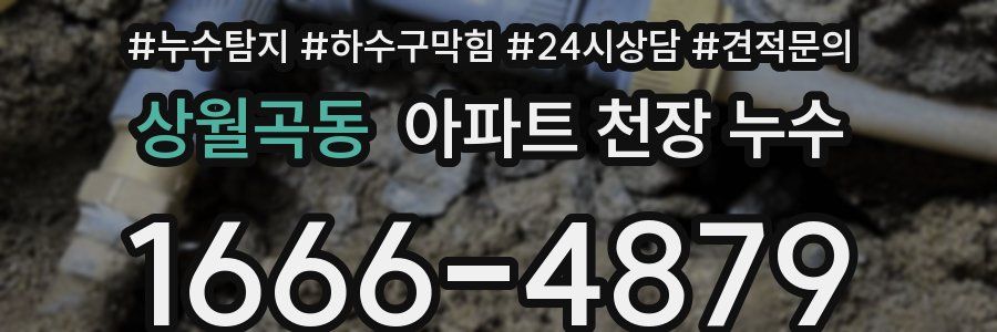 상월곡동 아파트 천장 누수