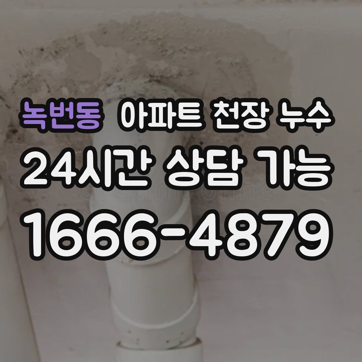 녹번동 아파트 천장 누수
