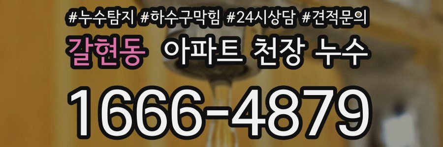 갈현동 아파트 천장 누수