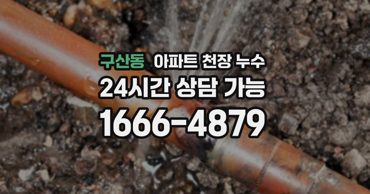 구산동 아파트 천장 누수