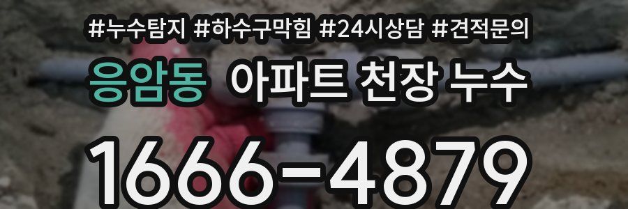 응암동 아파트 천장 누수