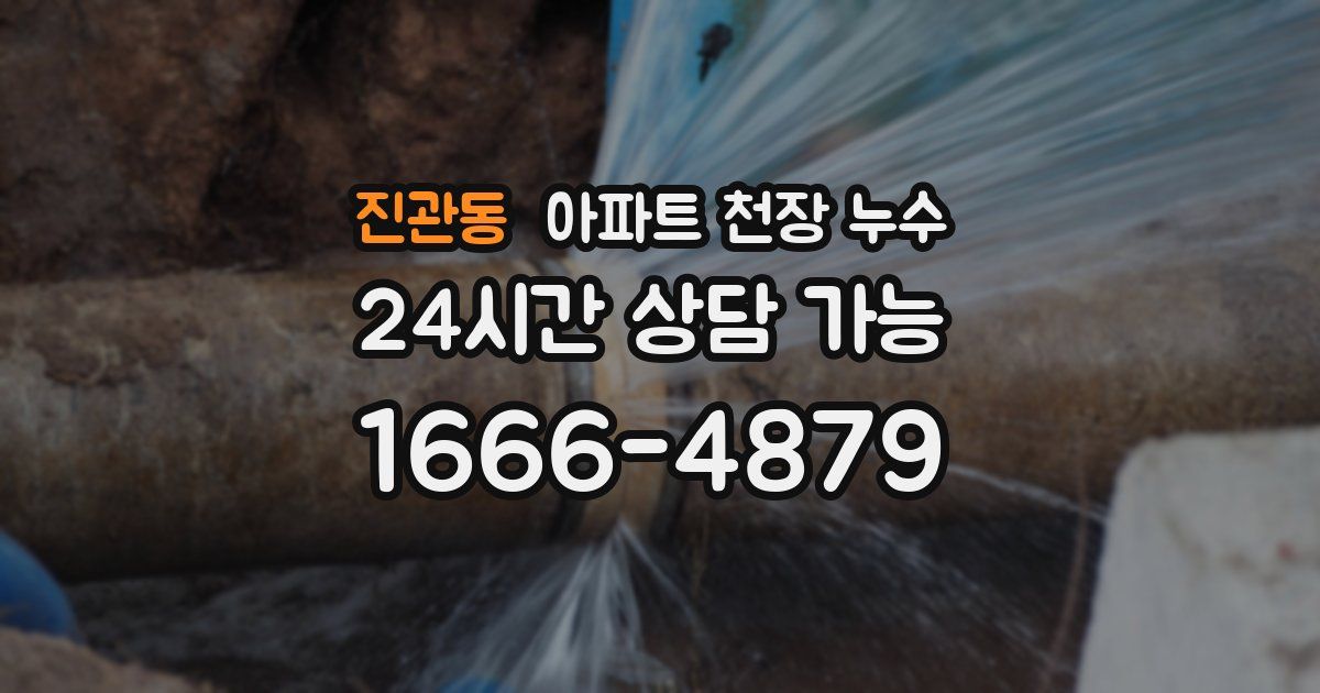 진관동 아파트 천장 누수