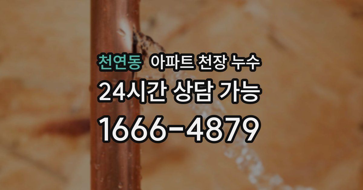 천연동 아파트 천장 누수