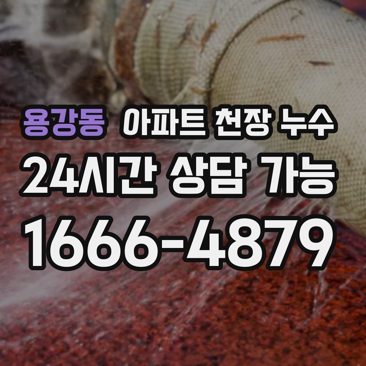 용강동 아파트 천장 누수