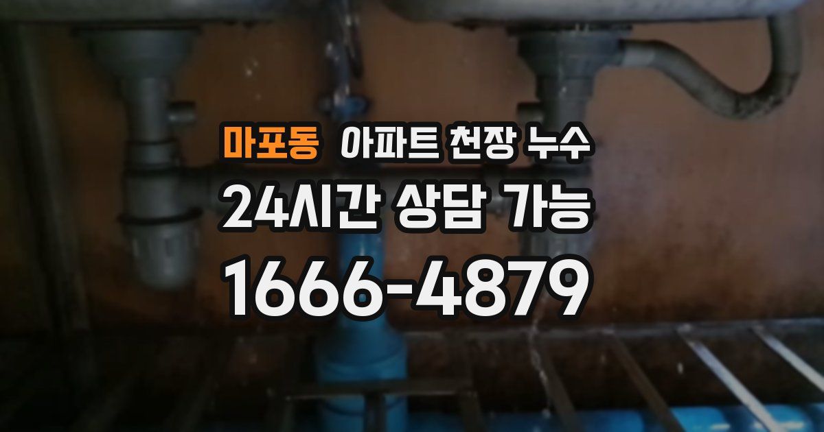 마포동 아파트 천장 누수