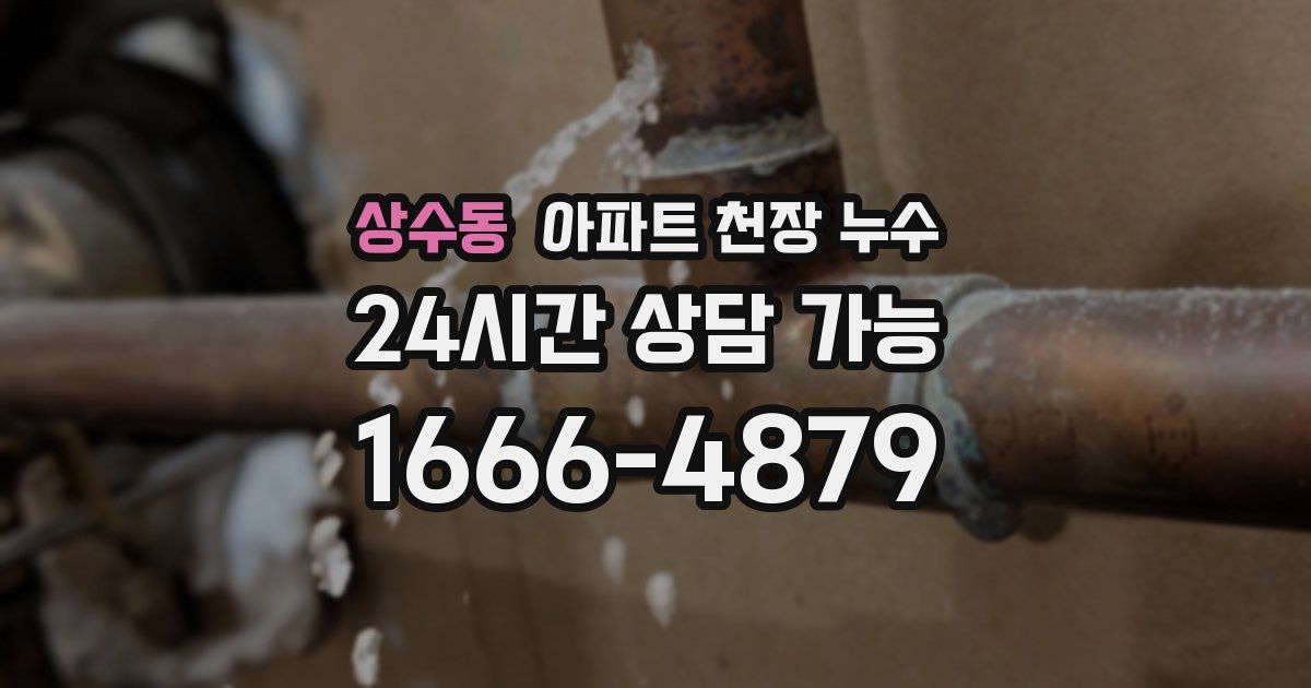 상수동 아파트 천장 누수