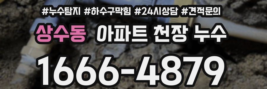 상수동 아파트 천장 누수