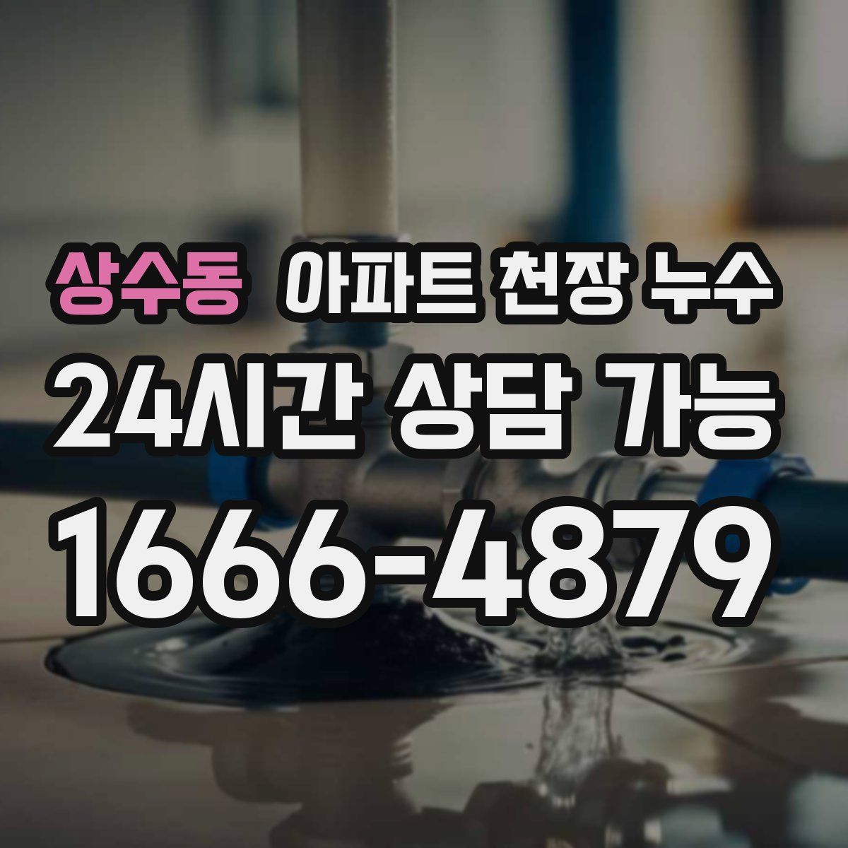 상수동 아파트 천장 누수