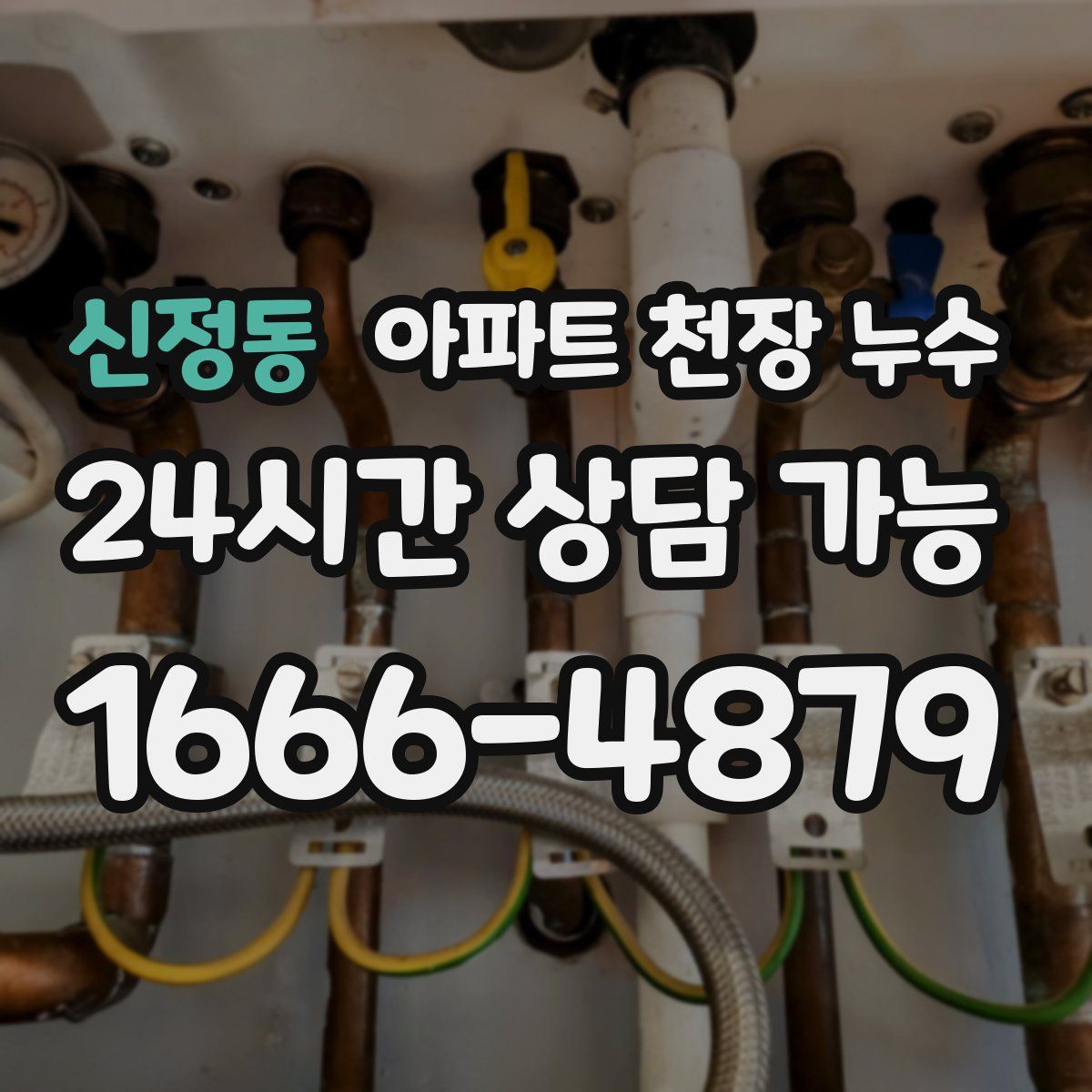 신정동 아파트 천장 누수