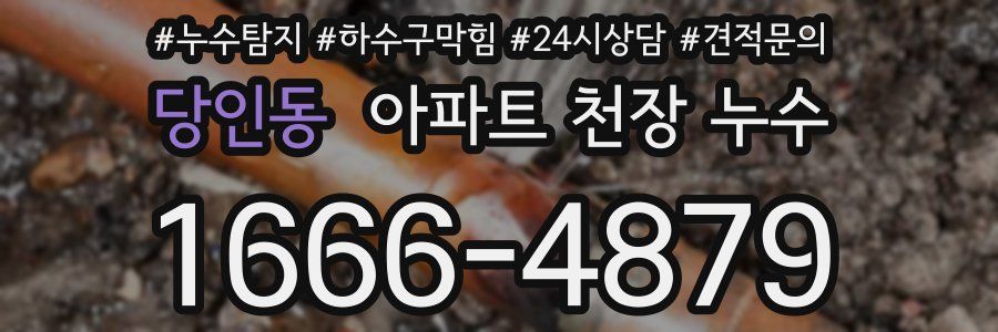 당인동 아파트 천장 누수