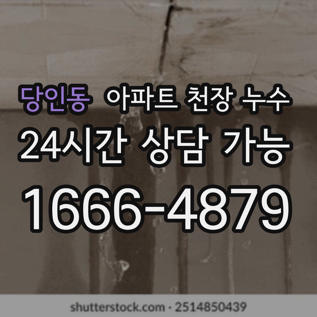 당인동 아파트 천장 누수