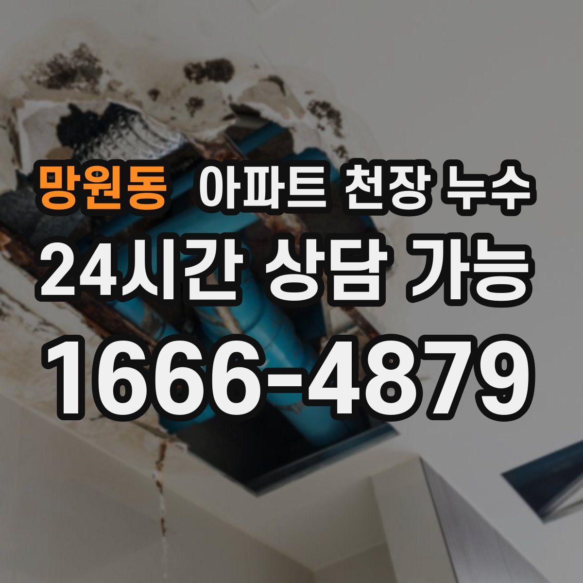 망원동 아파트 천장 누수
