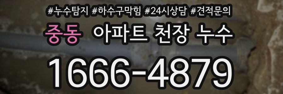 중동 아파트 천장 누수