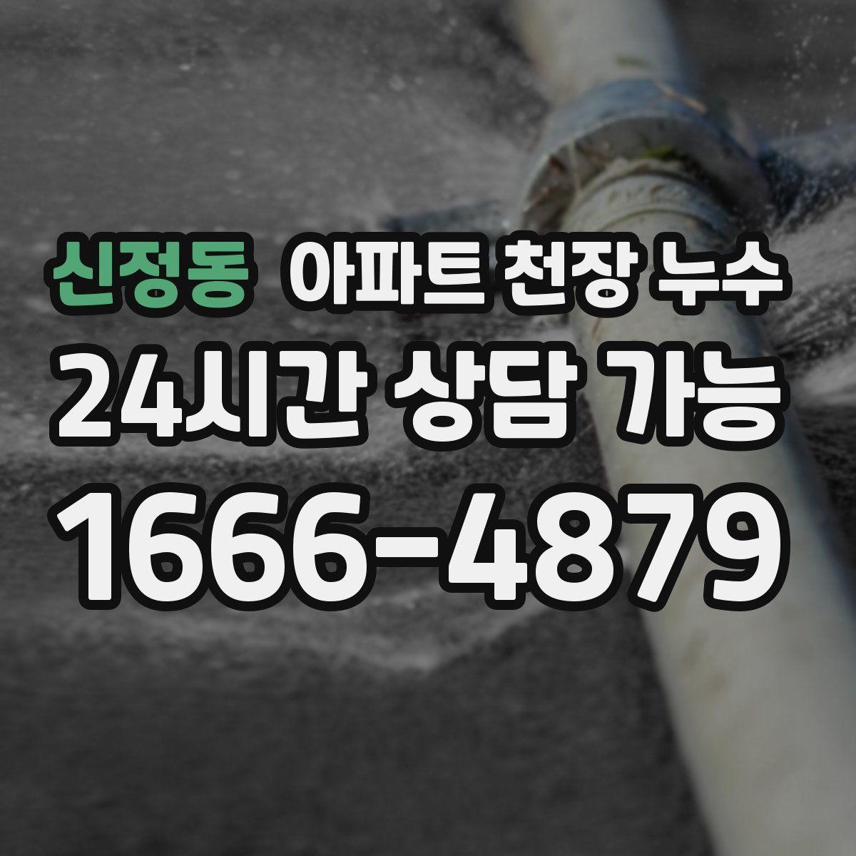 신정동 아파트 천장 누수