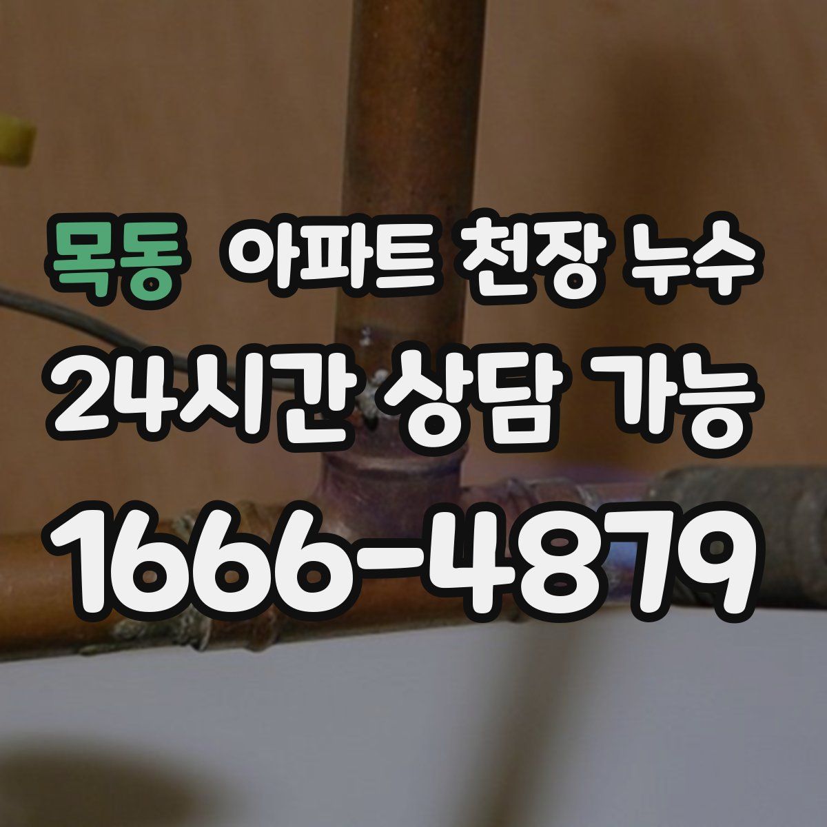목동 아파트 천장 누수