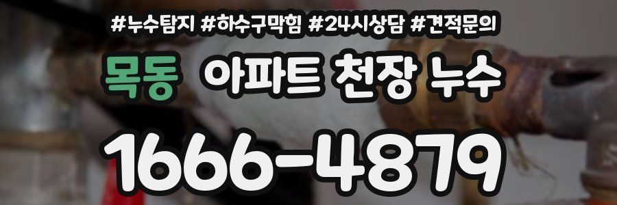 목동 아파트 천장 누수