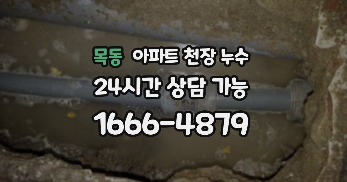 목동 아파트 천장 누수