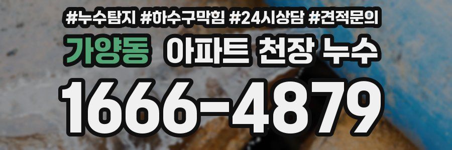 가양동 아파트 천장 누수
