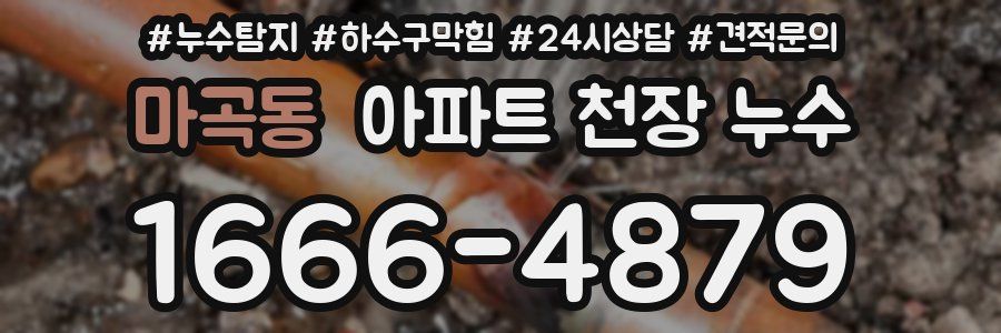 마곡동 아파트 천장 누수