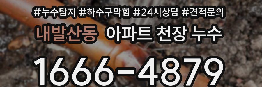 내발산동 아파트 천장 누수