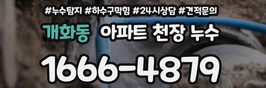 개화동 아파트 천장 누수