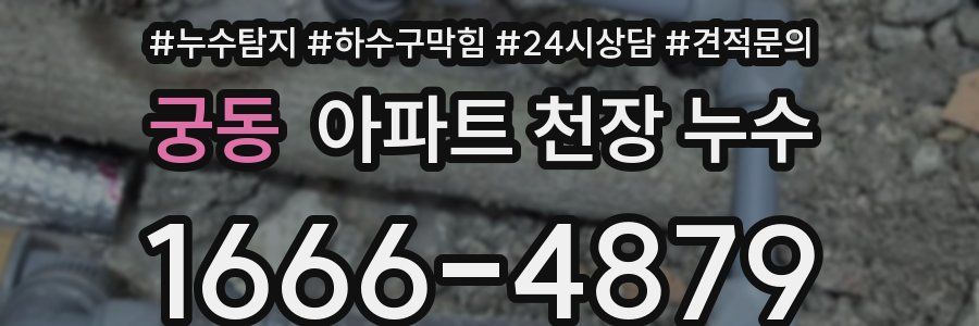 궁동 아파트 천장 누수