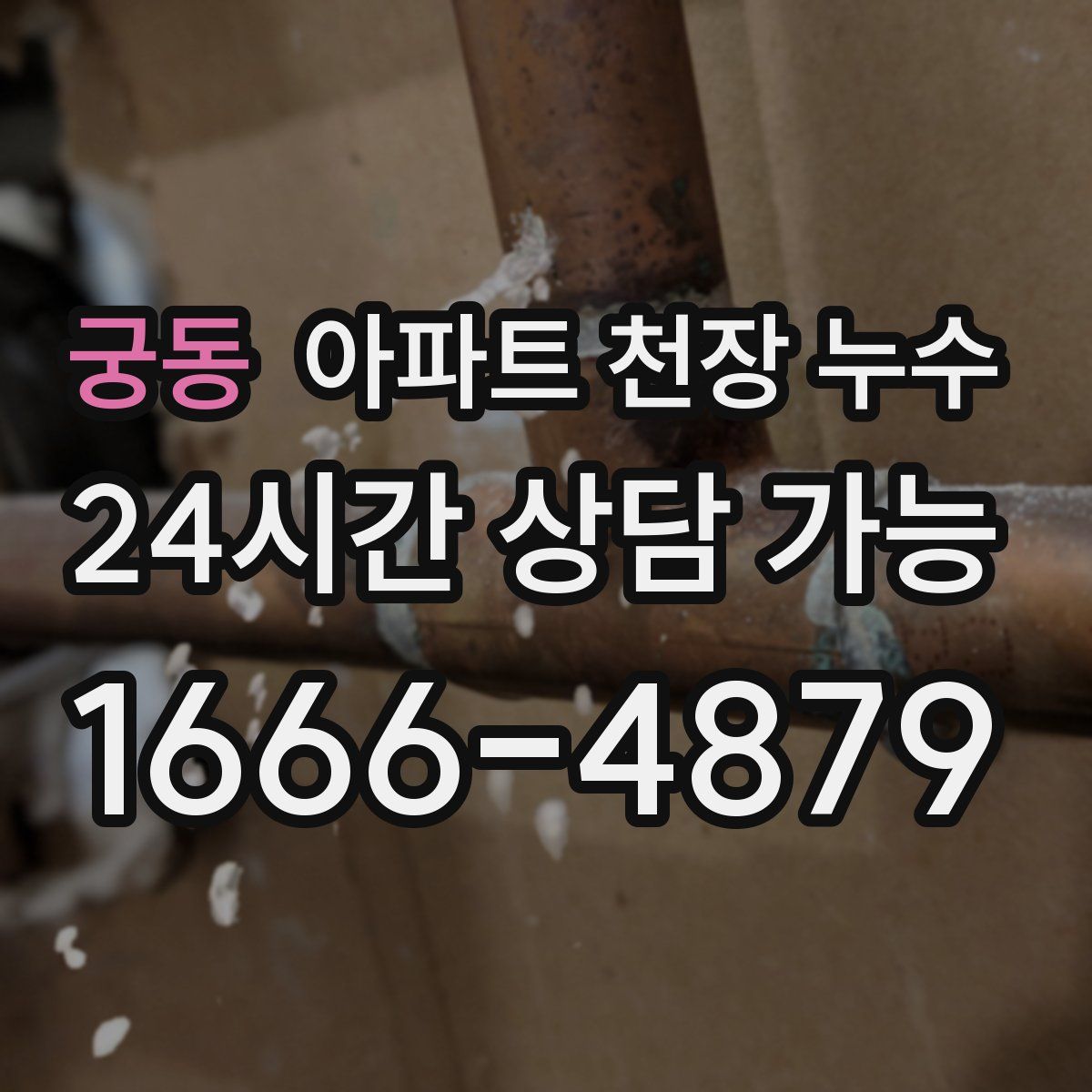궁동 아파트 천장 누수