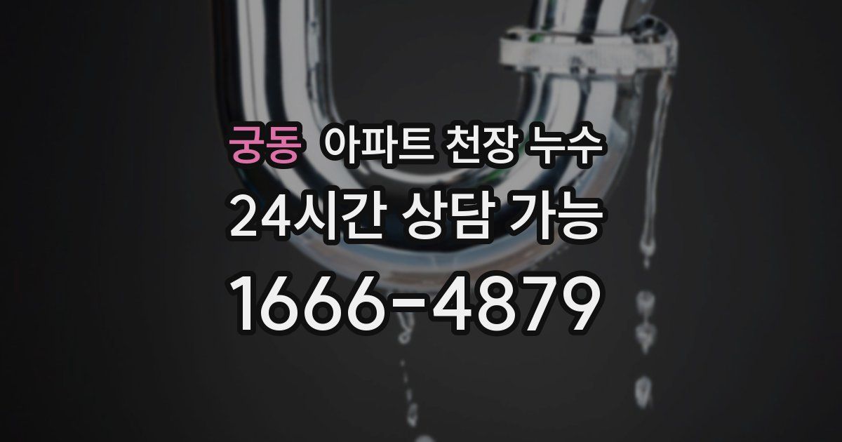 궁동 아파트 천장 누수
