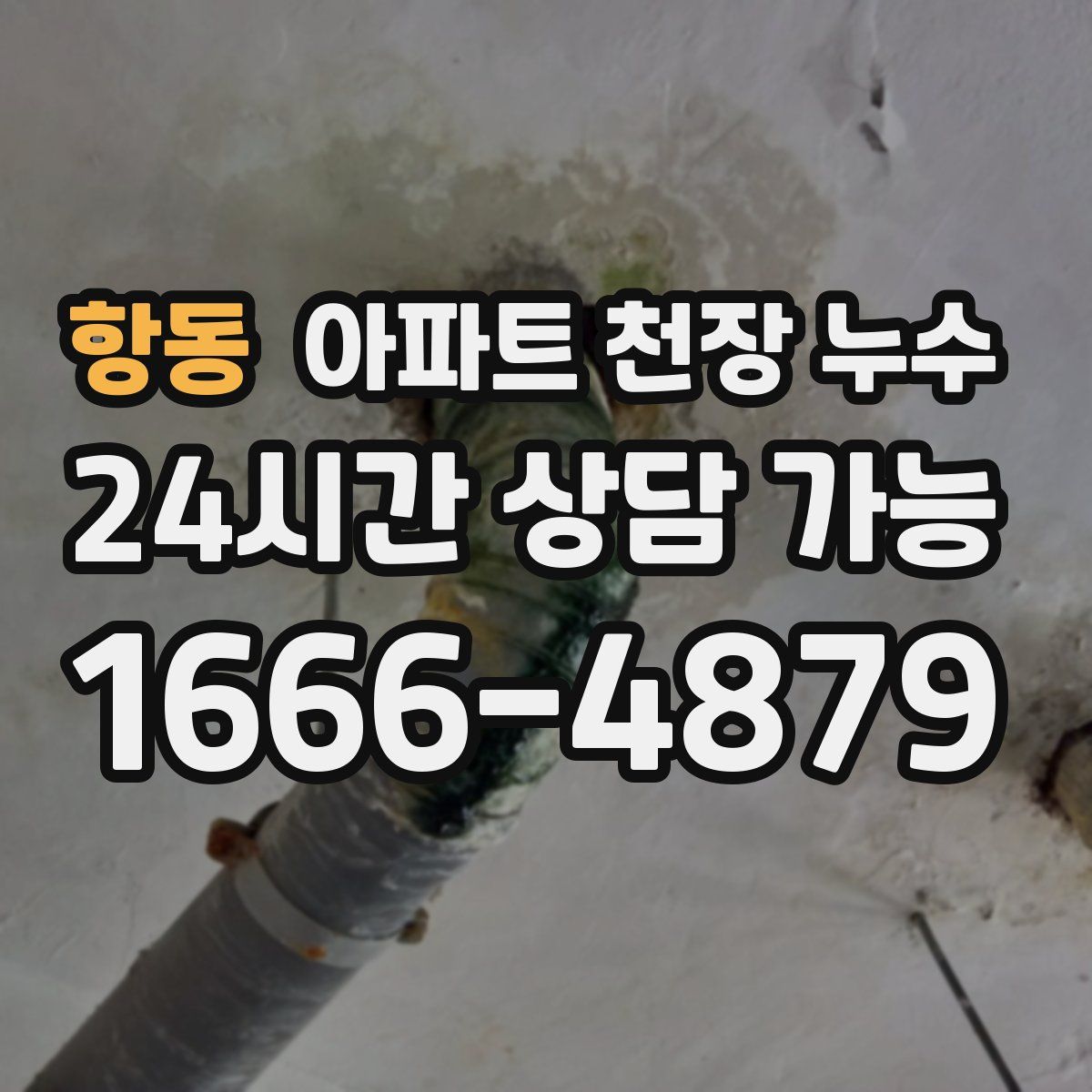 항동 아파트 천장 누수