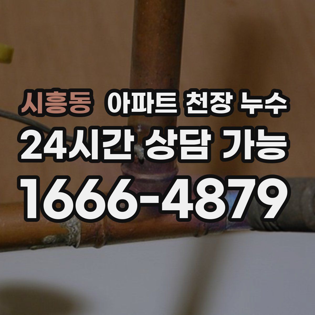 시흥동 아파트 천장 누수