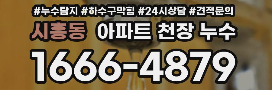 시흥동 아파트 천장 누수