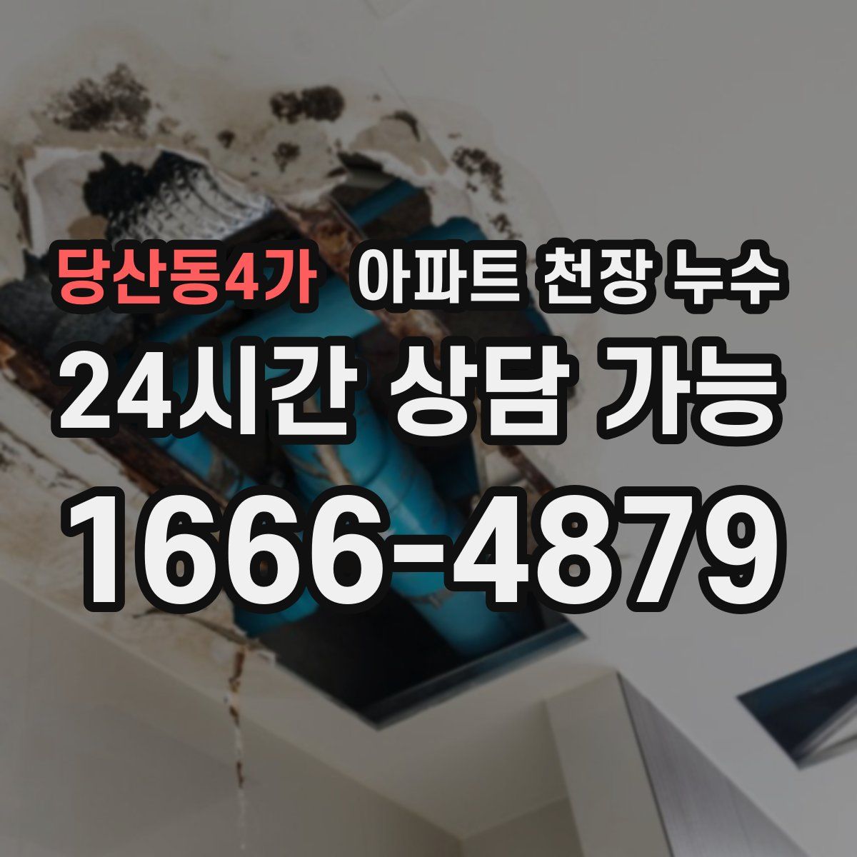당산동4가 아파트 천장 누수