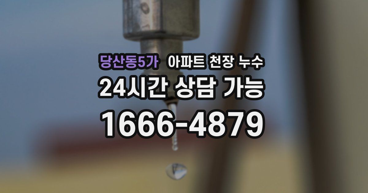 당산동5가 아파트 천장 누수