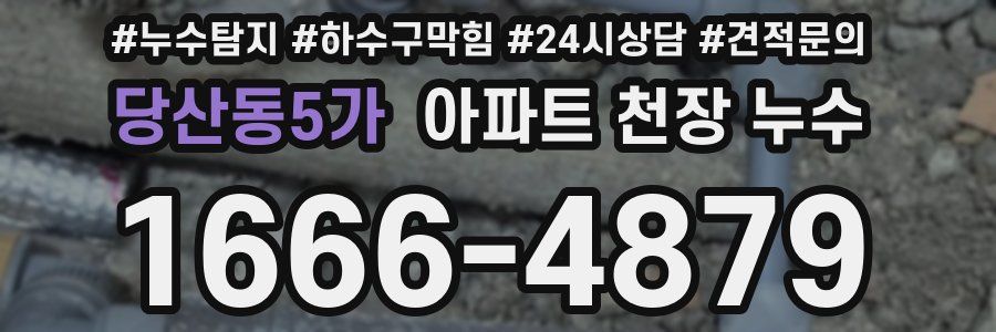 당산동5가 아파트 천장 누수