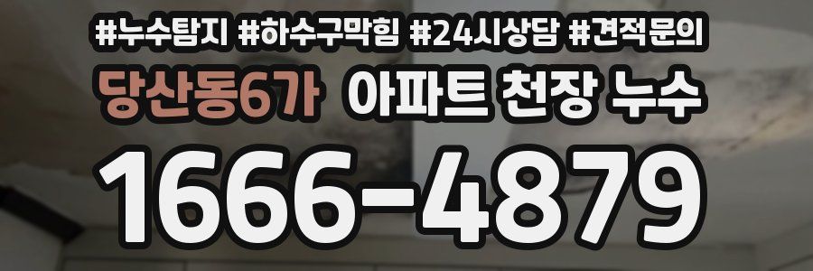 당산동6가 아파트 천장 누수