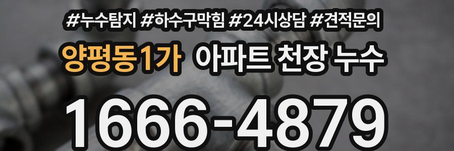 양평동1가 아파트 천장 누수